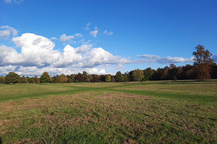 Archaeological Survey Uncovers Tudor Artifacts at Nonsuch Park